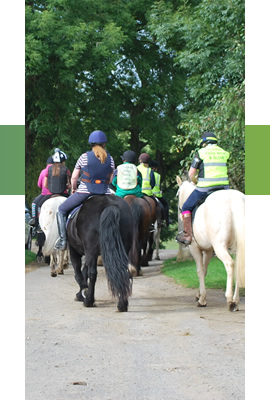 north ryedale riding club contact us